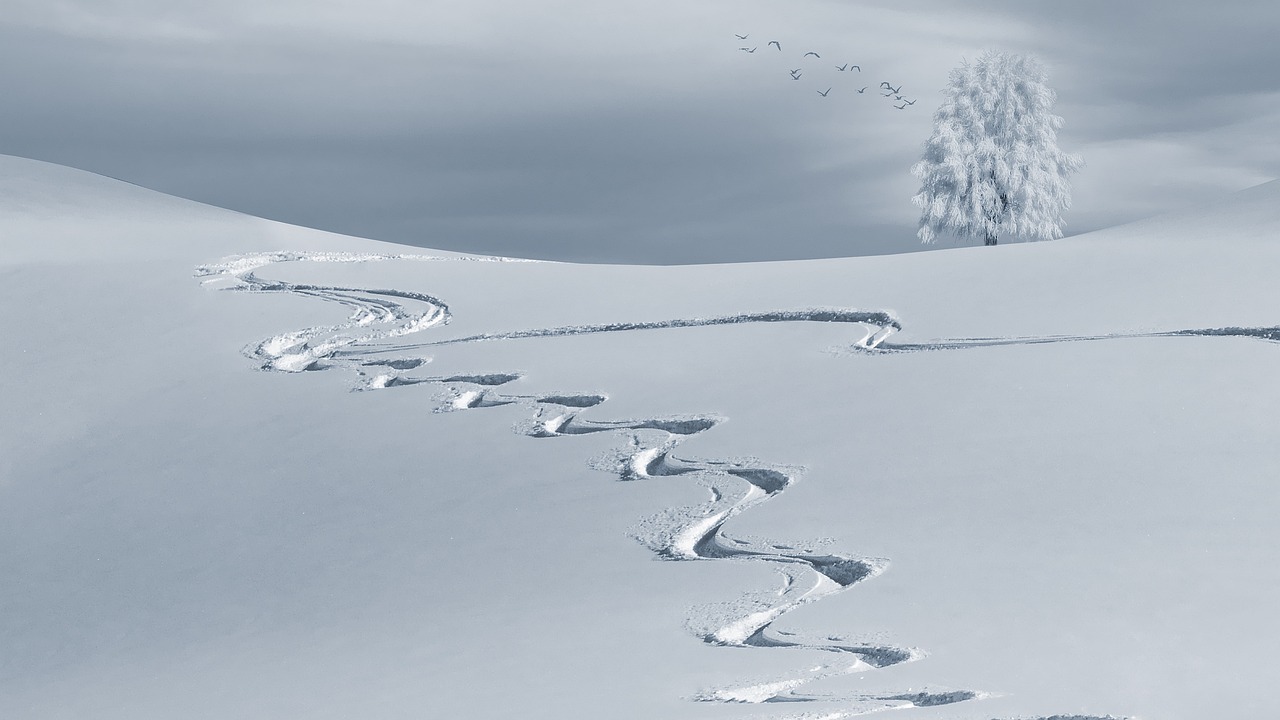 How to Paint a Beautiful Winter Landscape Scene